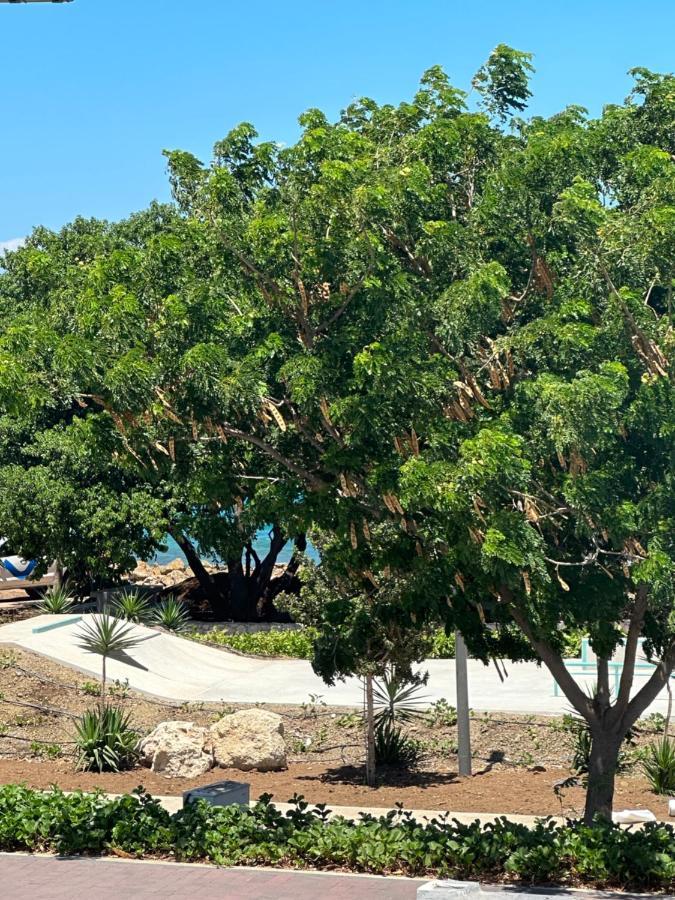 Whitehouse Boulevard, Close To Mambo Beach And City Centre Apartment Willemstad Ngoại thất bức ảnh